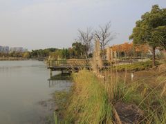 -尚贤河湿地