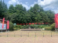 -遂昌金矿国家矿山公园