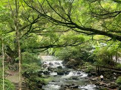 -广州市石门国家森林公园