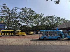 -大湾区中央湿地公园
