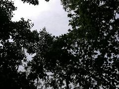 -东莞御景湾湖畔酒店·莱奥咖啡厅