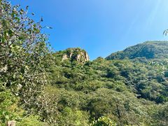 -大岭沟猕猴桃谷风景区