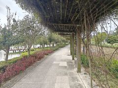 -广西壮族自治区药用植物园