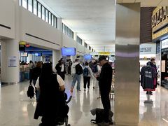 -纽瓦克自由国际机场