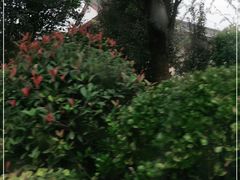 -茯茶镇