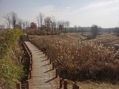 -淇河国家湿地公园