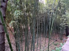 -香山公园