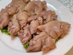 -丁老爷子苏香圆