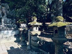 -奈良公园