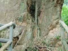 -明堂山风景区