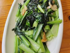-九道菜有鸡鱼头(石鼓路店)