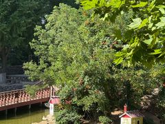 -贮水山儿童公园