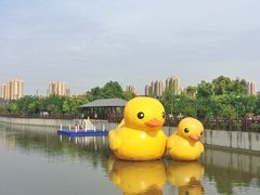 -菊园百果园