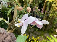 -南通洲际绿博园