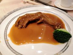 -金苑海鲜酒家(来魅力店)