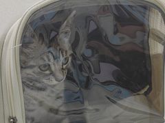 -美联众合24小时·皮肤科·外科·全科诊疗中心(华苑分院)