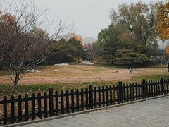 -丰台花园