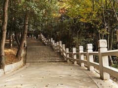 -灵岩山风景区