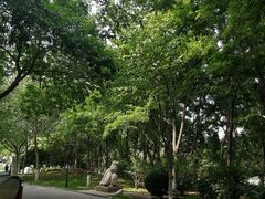-裕华世纪公园