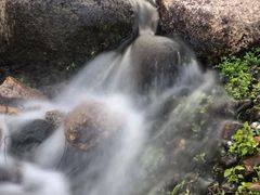 -华南国家植物园-售票处