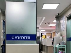 -申普宠物医院·心脏介入·心血管微创(总院)