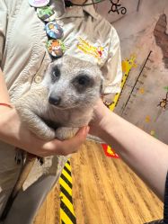 -Zoolung Zoolung动物主题公园(海信广场店)