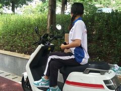 -金鸡岭桥头公园