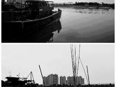 -丹樱生态园