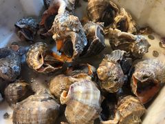 -芦潮港集贸市场