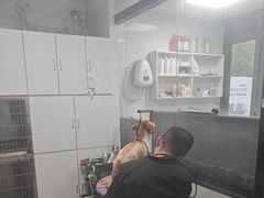 -中农国际动物医院24小时·猫科·骨科·急重症中心