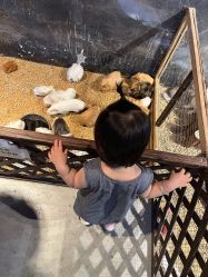 -酷嗒动物文化乐园(cutezoo西溪乐天城店)