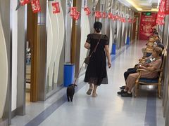 -圣呗口腔·舒适化种植牙·矫正中心(广州总院)