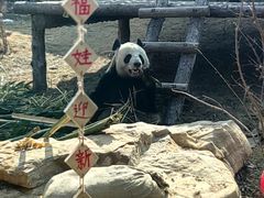 -泉城欧乐堡梦幻世界