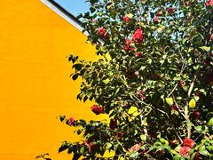 -重元寺香积厨素斋馆