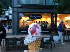 -Patagonia Chocolates(皇后镇店)