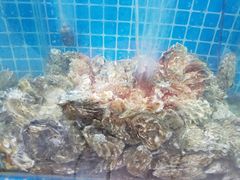 -兆辉木炭海鲜烧烤·海鲜小炒