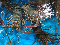 -四川小胡子海鲜(丁村万人海鲜广场店)