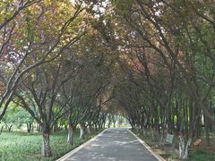 -石家庄市植物园