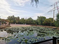 -黛秀湖公园