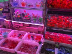 -宝鸡东道花鸟鱼虫市场(吉利花园商场店)