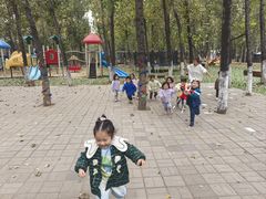-北京梧桐树双语幼儿园