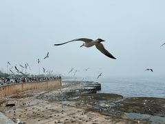 -星海广场