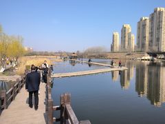 -前关湿地公园
