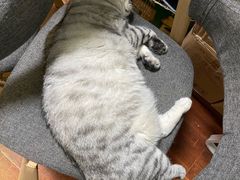-H立方实景剧情密室(天河旗舰店)