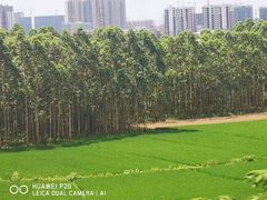 -桂林西站