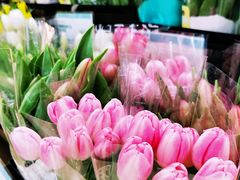 -盒马鲜生(皇庭广场店)