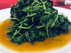 -老吉士酒家(天平路店)