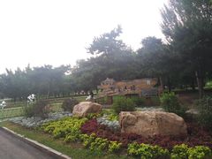 -长春公园(普阳街道)