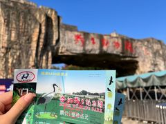 -合肥野生动物园