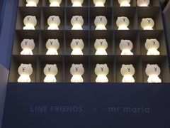 -line friends(明洞旗舰店)